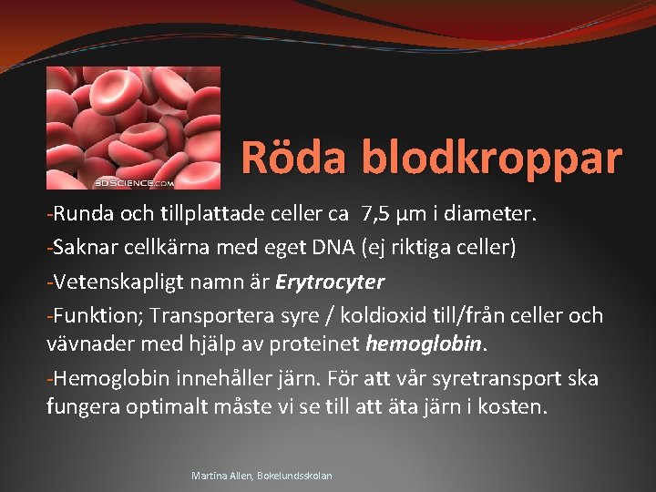 Röda blodkroppar -Runda och tillplattade celler ca 7, 5 µm i diameter. -Saknar cellkärna