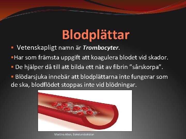 Blodplättar § Vetenskapligt namn är Trombocyter. §Har som främsta uppgift att koagulera blodet vid