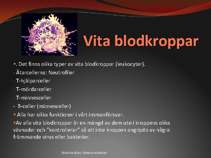 Vita blodkroppar §. Det finns olika typer av vita blodkroppar (leukocyter). - Ätarcellerna: Neutrofiler