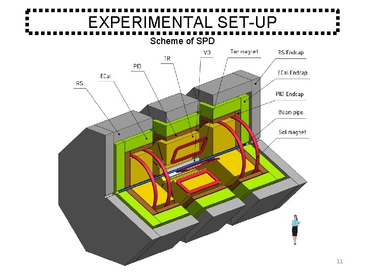 EXPERIMENTAL SET-UP Scheme of SPD 11 