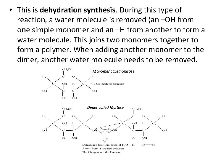  • This is dehydration synthesis. During this type of reaction, a water molecule