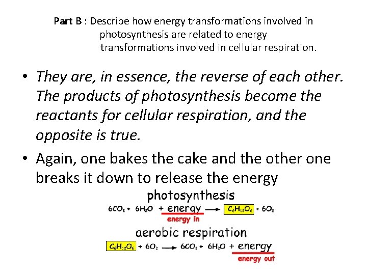 Part B : Describe how energy transformations involved in photosynthesis are related to energy