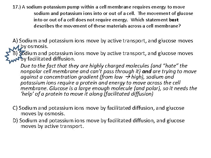 17. ) A sodium potassium pump within a cell membrane requires energy to move