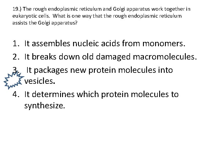 19. ) The rough endoplasmic reticulum and Golgi apparatus work together in eukaryotic cells.