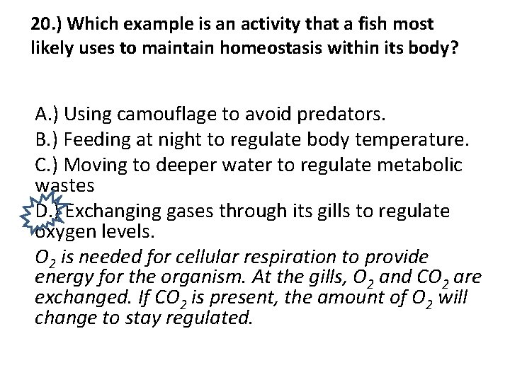 20. ) Which example is an activity that a fish most likely uses to