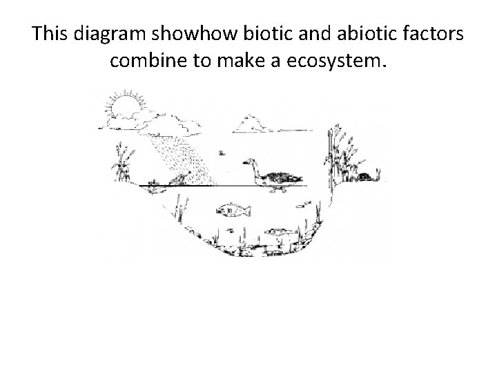 This diagram showhow biotic and abiotic factors combine to make a ecosystem. 