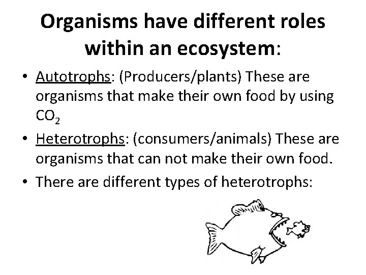 Organisms have different roles within an ecosystem: • Autotrophs: (Producers/plants) These are organisms that