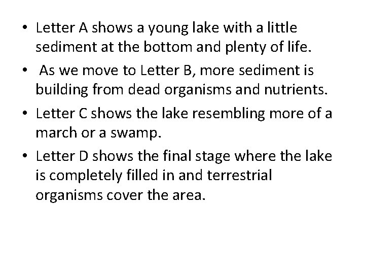  • Letter A shows a young lake with a little sediment at the
