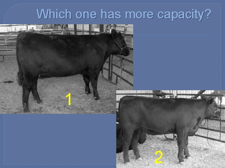 Which one has more capacity? 1 2 