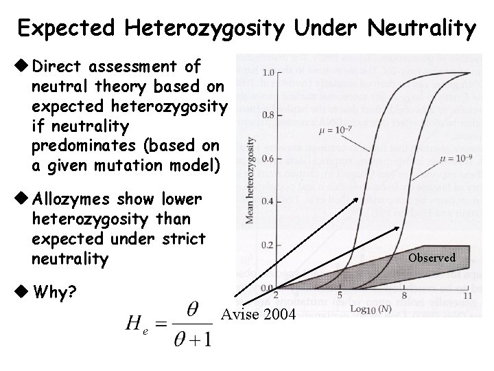 Expected Heterozygosity Under Neutrality u Direct assessment of neutral theory based on expected heterozygosity