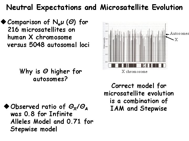 Neutral Expectations and Microsatellite Evolution u Comparison of Neμ (Θ) for 216 microsatellites on