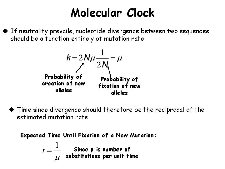 Molecular Clock u If neutrality prevails, nucleotide divergence between two sequences should be a