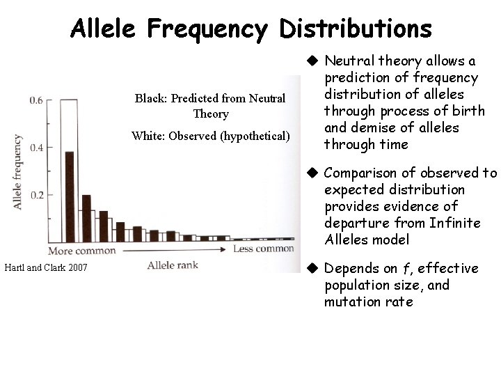 Allele Frequency Distributions Black: Predicted from Neutral Theory White: Observed (hypothetical) u Neutral theory