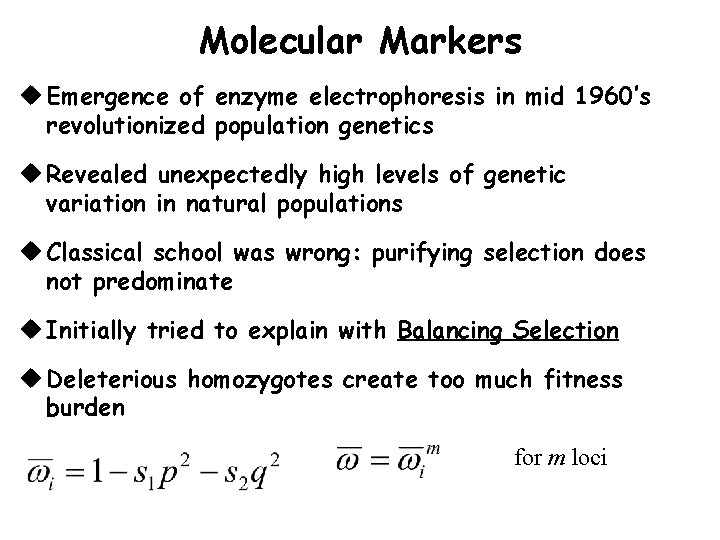 Molecular Markers u Emergence of enzyme electrophoresis in mid 1960’s revolutionized population genetics u