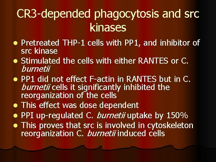 CR 3 -depended phagocytosis and src kinases Pretreated THP-1 cells with PP 1, and