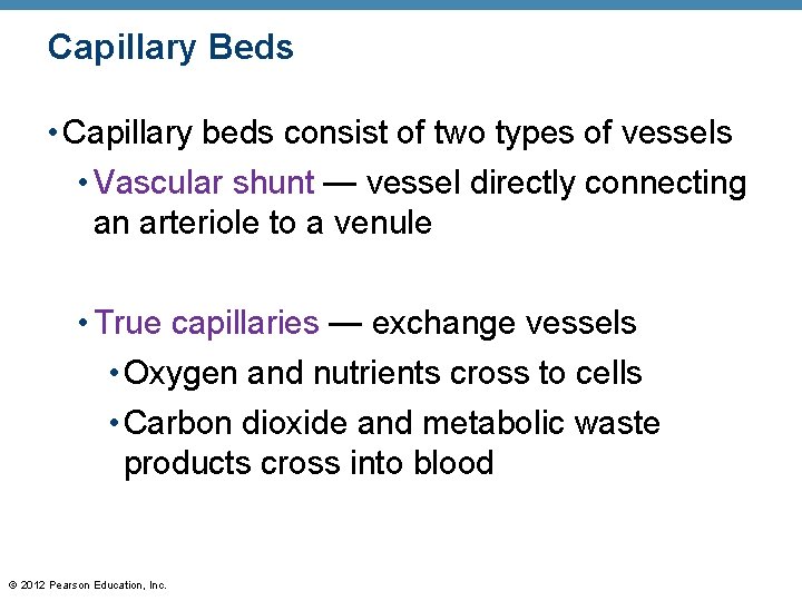 Capillary Beds • Capillary beds consist of two types of vessels • Vascular shunt