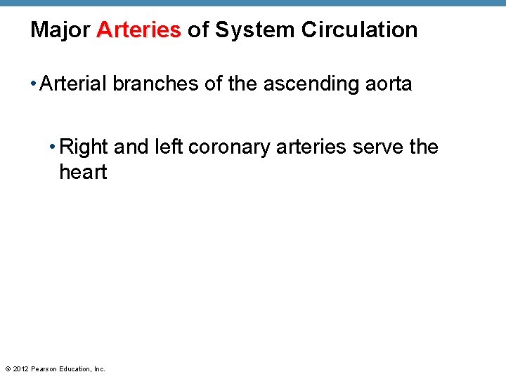 Major Arteries of System Circulation • Arterial branches of the ascending aorta • Right