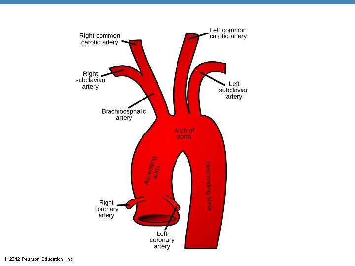 © 2012 Pearson Education, Inc. 