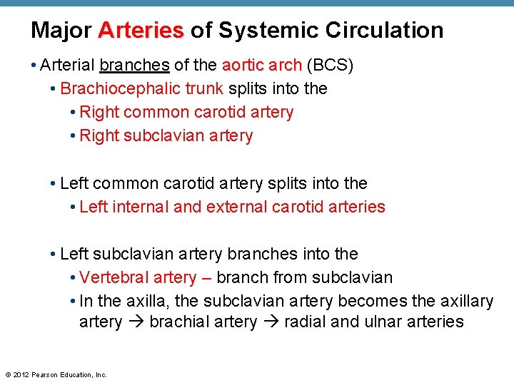 Major Arteries of Systemic Circulation • Arterial branches of the aortic arch (BCS) •