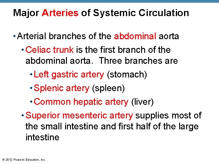 Major Arteries of Systemic Circulation • Arterial branches of the abdominal aorta • Celiac