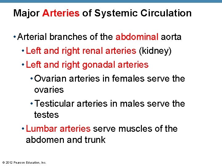 Major Arteries of Systemic Circulation • Arterial branches of the abdominal aorta • Left Major Arteries of Systemic Circulation • Arterial branches of the abdominal aorta • Left