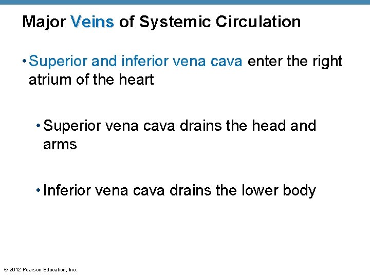 Major Veins of Systemic Circulation • Superior and inferior vena cava enter the right