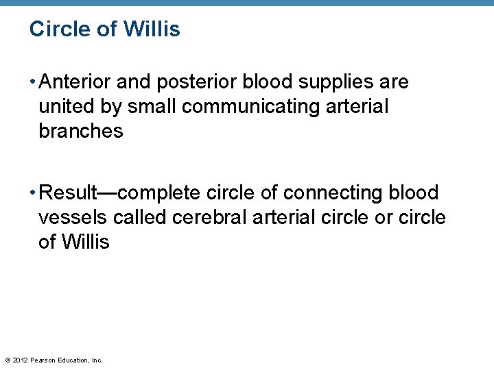 Circle of Willis • Anterior and posterior blood supplies are united by small communicating Circle of Willis • Anterior and posterior blood supplies are united by small communicating
