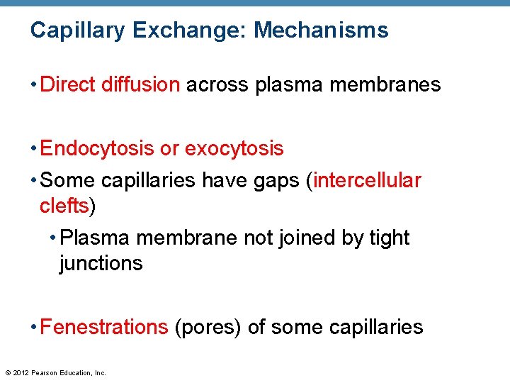 Capillary Exchange: Mechanisms • Direct diffusion across plasma membranes • Endocytosis or exocytosis •