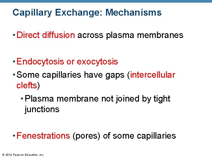 Capillary Exchange: Mechanisms • Direct diffusion across plasma membranes • Endocytosis or exocytosis • Capillary Exchange: Mechanisms • Direct diffusion across plasma membranes • Endocytosis or exocytosis •