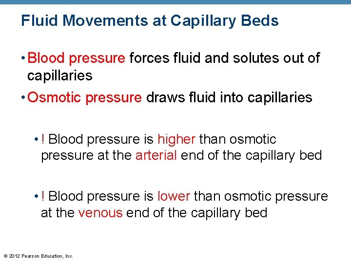 Fluid Movements at Capillary Beds • Blood pressure forces fluid and solutes out of