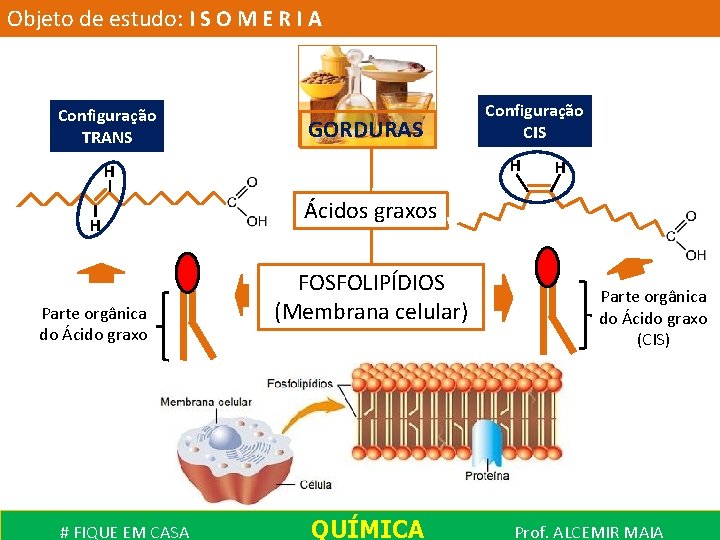 Objeto de estudo: I S O M E R I A Configuração TRANS GORDURAS