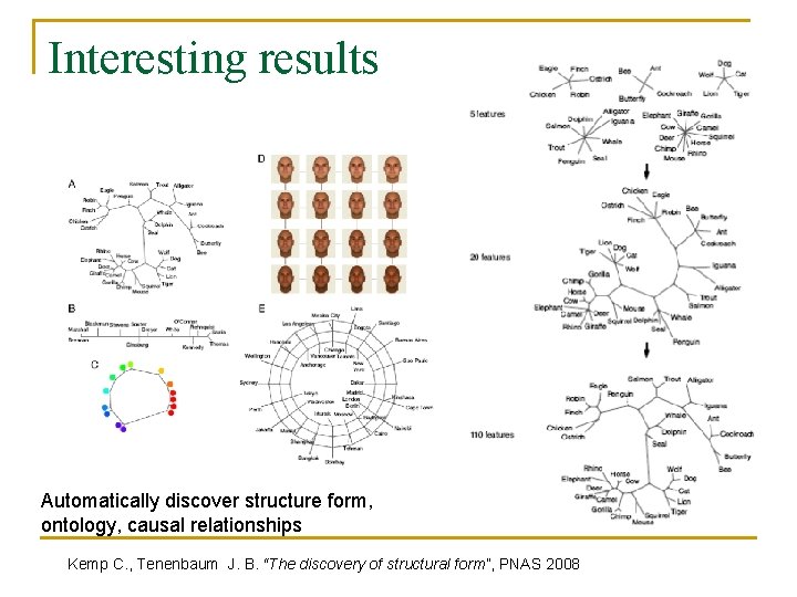 Interesting results Automatically discover structure form, ontology, causal relationships Kemp C. , Tenenbaum J.
