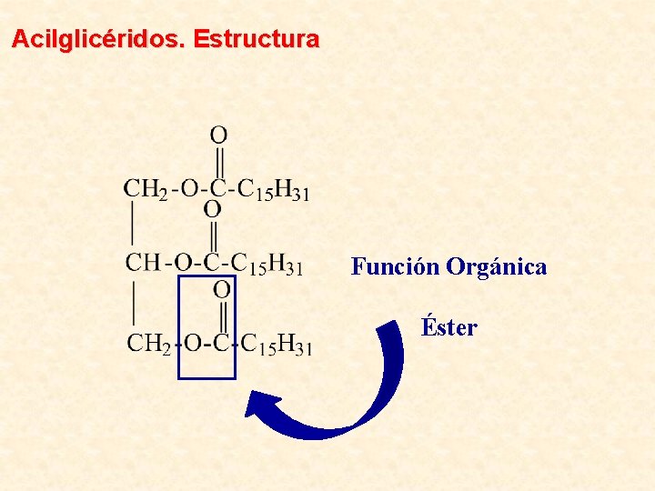 Acilglicéridos. Estructura Función Orgánica Éster 