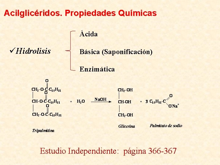 Acilglicéridos. Propiedades Químicas Ácida üHidrolisis Básica (Saponificación) Enzimática Estudio Independiente: página 366 -367 
