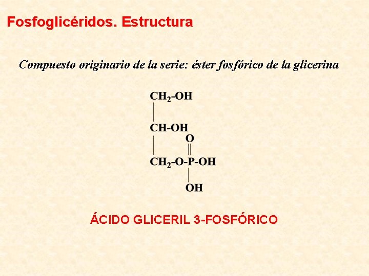 Fosfoglicéridos. Estructura Compuesto originario de la serie: éster fosfórico de la glicerina ÁCIDO GLICERIL