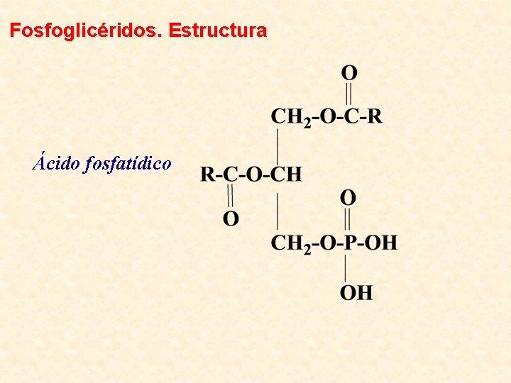 Fosfoglicéridos. Estructura Ácido fosfatídico 
