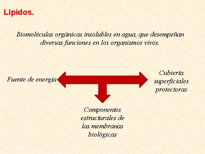 Lípidos. Biomoléculas orgánicas insolubles en agua, que desempeñan diversas funciones en los organismos vivos.