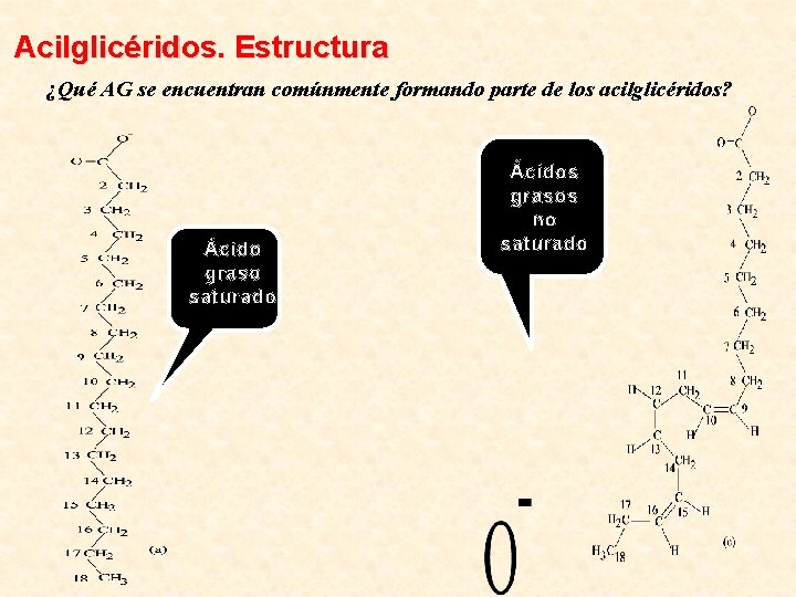 Acilglicéridos. Estructura ¿Qué AG se encuentran comúnmente formando parte de los acilglicéridos? Ácido graso