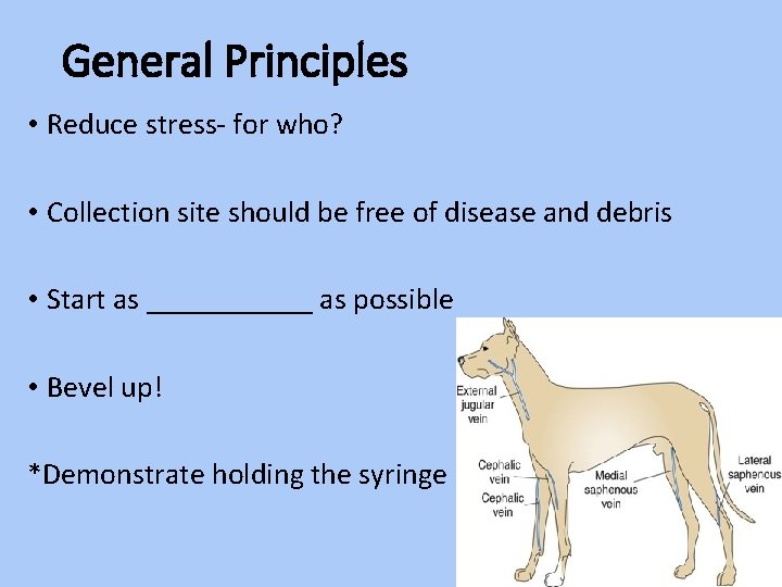 General Principles • Reduce stress- for who? • Collection site should be free of