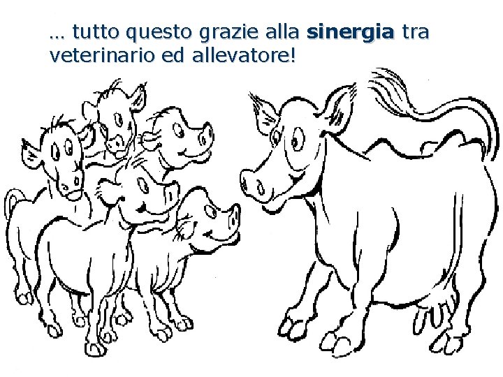 … tutto questo grazie alla sinergia tra veterinario ed allevatore! 