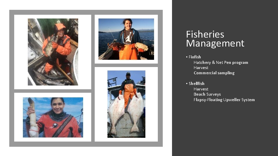 Fisheries Management • Finfish Hatchery & Net Pen program Harvest Commercial sampling • Shellfish