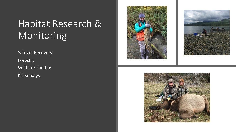 Habitat Research & Monitoring Salmon Recovery Forestry Wildlife/Hunting Elk surveys 