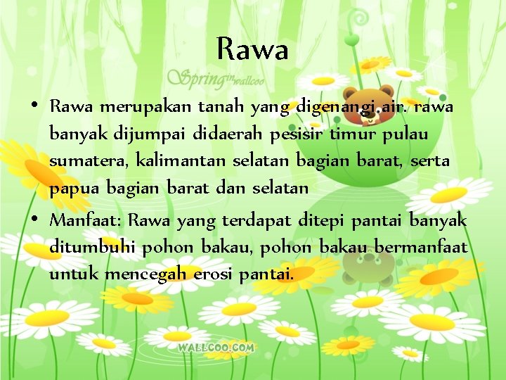 Rawa • Rawa merupakan tanah yang digenangi air. rawa banyak dijumpai didaerah pesisir timur