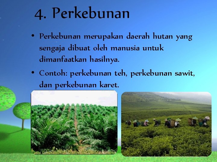 4. Perkebunan • Perkebunan merupakan daerah hutan yang sengaja dibuat oleh manusia untuk dimanfaatkan