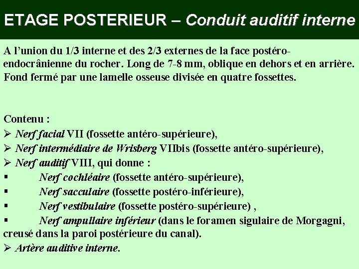 ETAGE POSTERIEUR – Conduit auditif interne A l’union du 1/3 interne et des 2/3