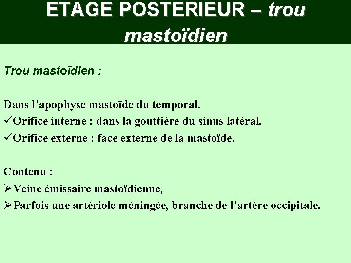 ETAGE POSTERIEUR – trou mastoïdien Trou mastoïdien : Dans l’apophyse mastoïde du temporal. üOrifice