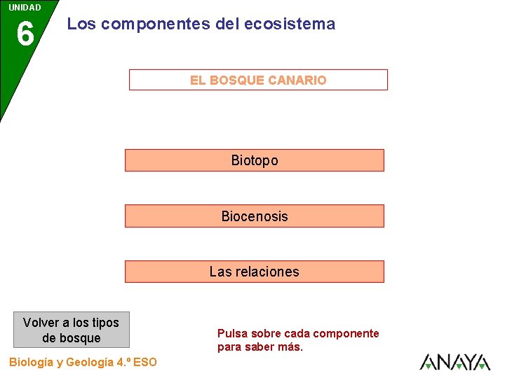 UNIDAD 6 Los componentes del ecosistema EL BOSQUE CANARIO Biotopo Biocenosis Las relaciones Volver