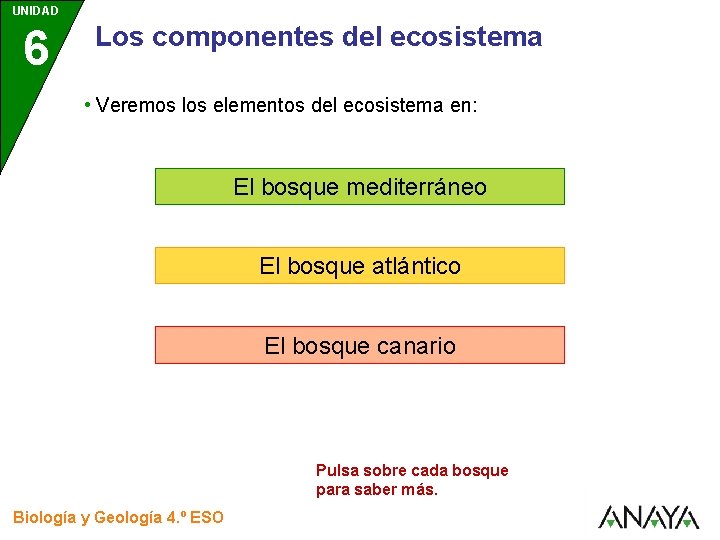 UNIDAD 6 Los componentes del ecosistema • Veremos los elementos del ecosistema en: El