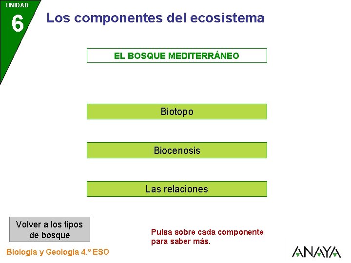 UNIDAD Los componentes del ecosistema 6 UNIDAD 5 EL BOSQUE MEDITERRÁNEO Biotopo Biocenosis Las