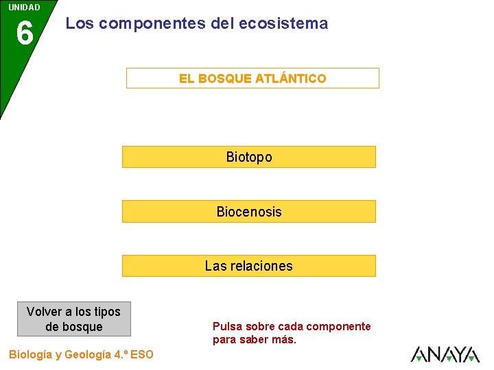 UNIDAD 6 Los componentes del ecosistema EL BOSQUE ATLÁNTICO Biotopo Biocenosis Las relaciones Volver